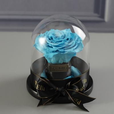 China 2020 New Arrival Preserved Flower Valentine Mother's Day Eco-Friendly Eternal Rose Gift for sale