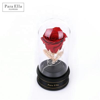 China Gift And Decoration Valentine's Day Gifts Preserved Music Glass Roses With Light for sale