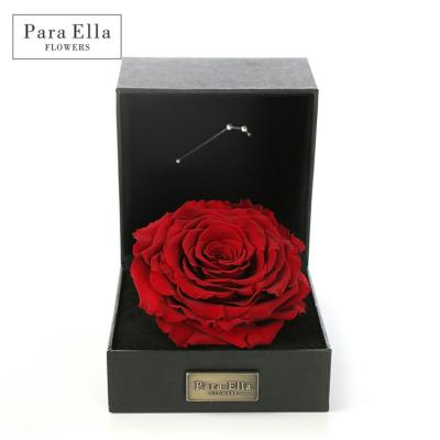 China Environmental Protection China Factory Green Velvet Box Packaging Eternal Flower Preserved Roses In Gift Box for sale