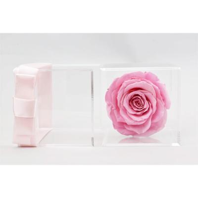 China Preserved Rose Flower Wholesale Cheapest Preserved Roses Flower Immortal In Clear Acrylic Single Flower Box for sale