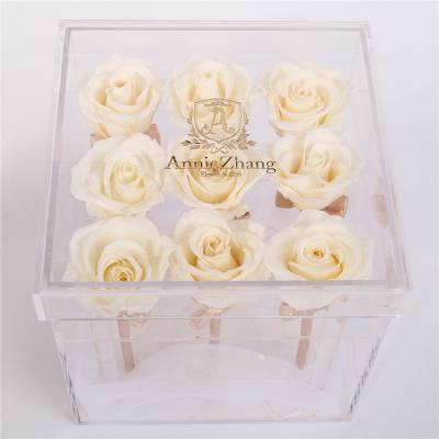 China Roses in Clear Acrylic Box Gift Flower Box with 9 Preserved Rose Heads Beige for sale