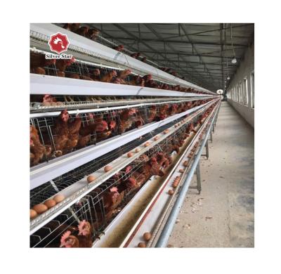 China Commercial Chicken Feeding Automatic Feeding Wire Mesh Chicken Layer EN Hot Galvanized Cage for sale