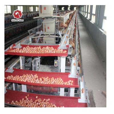 China Farms Hot Selling Hot Galvanized Poultry Cages For Chicken Farms for sale