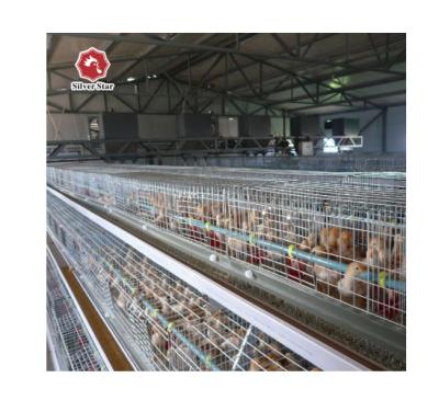 China Save Breed Cost China Supplier Chicken Breeding Cages A Type Broiler Cage For Sale for sale