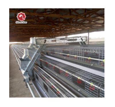 China Save Breeding Cost Steel Chicken Farm Equipment Q235 Bog Broiler Chicken Farm Equipment for sale