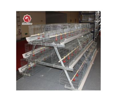 China Durable A Type Broiler Cage For Growing Broiler for sale