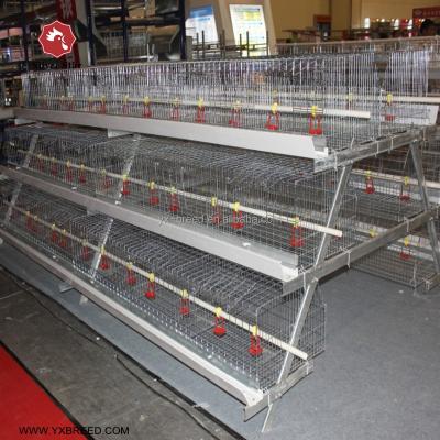 China Durable Automatic Poultry Farm Battery Cages For Layer And Growing Broiler Chicken for sale