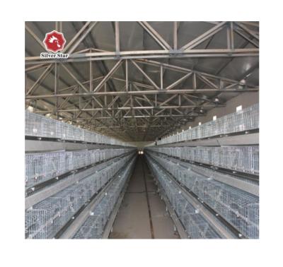 China Durable Broiler Cage For Sale Silver Star Raising Chicks Baby Chickens Used Broiler Cage For Sale for sale