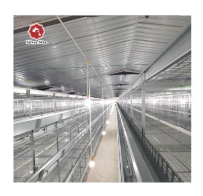 China farms cages for broiler chicken for poultry farm breeding/high quality meat broiler chicken cage for sale