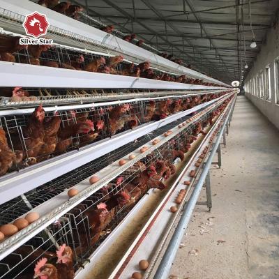 China Hot Sale H Type Africa Cage Farms Battery Chicken Cages For Layer for sale