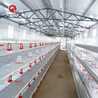 China Chick Poultry Raising Chicken Cage Equipment For Meat Chicken for sale