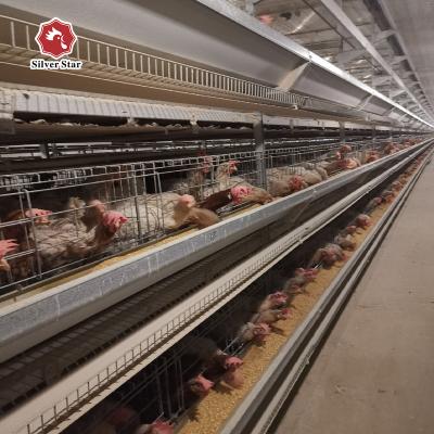 China Chicken / Broiler / Layer H Type Chicken Cage Automatic Breeding System for sale