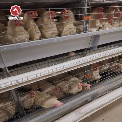 China One day chicken poultry cage large capacity one day chicken poultry chicken cage for sale