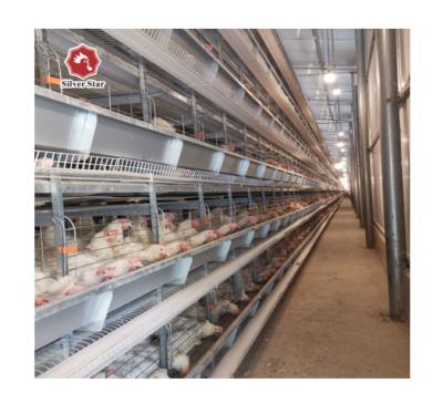 China Poultry farm design for broiler chick shed poultry farm design for broiler chick shed for sale