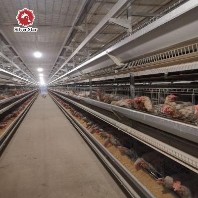 China Durable Silver Star Automatic Chicken Layer Cage For Sale In Philippines for sale