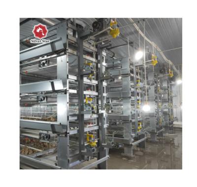 China Commercial Chicken Feeding Quails Cage Layer Farming Chicken Cage For Guinea Chicken Farm for sale