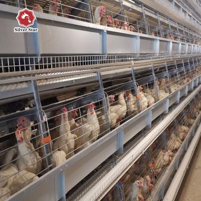 China Industrial Farms Poultry Farm Metal Chicken Cage for sale