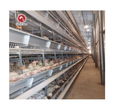 China Farms Battery Chicken Cage For Commercial Broiler for sale