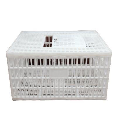 China New Type Chicken Transport Silver Collapsible Star Material High Quality Crate Transport Chicken Cage for sale