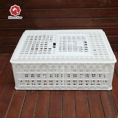 China Self-locking Silvery Hot Sale Poultry Factory Star Assembly Plastic Transport Crate for sale