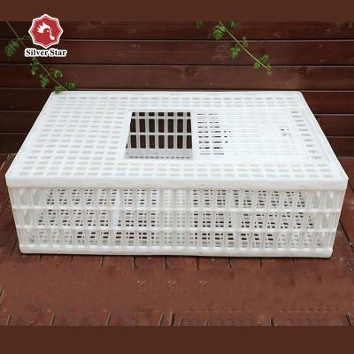 China Collapsible transport cage for chickens silver star factory sale HDPE material transport cage for chickens for sale