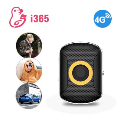 China Assets Tracking 2 Weeks Battery Life Waterproof IP67 Dog And Cat Collar Pet Gps Tracker for sale