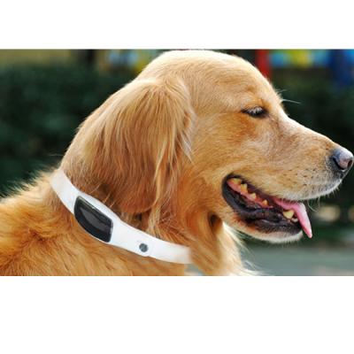 China China Manufacturer Sustainable GPS Dog Collar Tracking Device Pet GPS Tracker For Dog And Cat for sale