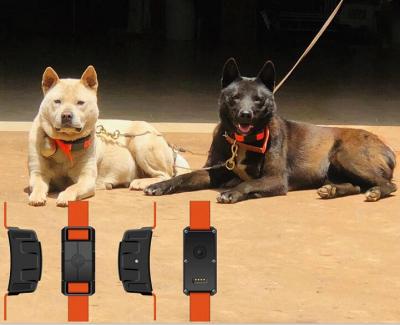 China Sustainable S9 Hunting Dog Gps Tracker Tracker For Dog Animals for sale