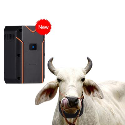 China Gps Large Capacity Battery Operated Motorcycle Mini Cattle Animal Sheep Cow Tracking Tracker Device for sale