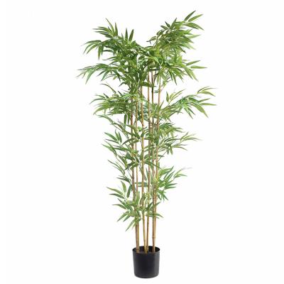 China Artificial Bamboo Plant Golden Bamboo Horticultural Design Decoration Indoor Outdoor Bamboo for sale