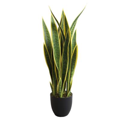 China Artificial Sansevieria Plastic Green Bonsai Plant Green Leaves Snake Tree For Indoor Sansevieria for sale