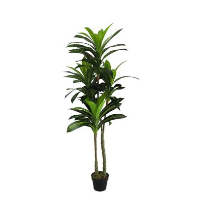 China Environmental Friendly Dracaena Fragrans Simulation Leaves Tall And Brazilian Bark Bionic Home Decoration Pole for sale