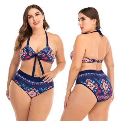 China Arrival Fashion Tied Two Piece Wholesale Breathable Plus Size Swimwear Woman Swimsuit XXX Plus Size Bikini For Fat Girl en venta