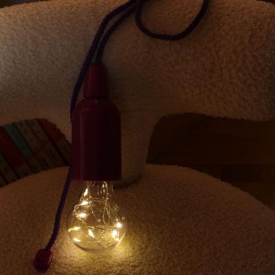 China ABS+PC Factory Price 3AAA Batteries 1 Meter Bright Rope LED Light Bulb Color Tent String Pull Light for sale