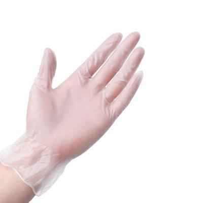 China Powder Free Ready To Ship Clear Color PVC Vinyl Gloves / Disposable Powder Free Gloves for sale