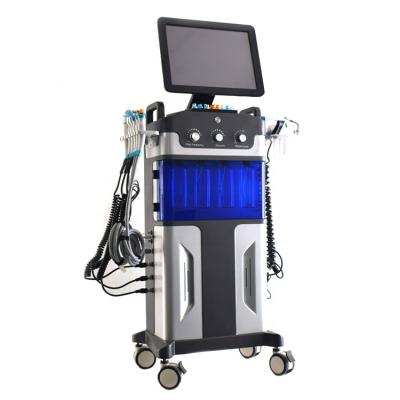 China Skin Revitalizer Microdermabrasion Machine Professional 12 in1 Microdermabrasion Hydra Beauty Machine for sale