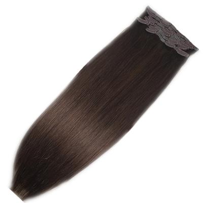 China Silky Straight Wave Brown Color Top Quality Indian Remy Hair PU Clip In Hair Extensions for sale