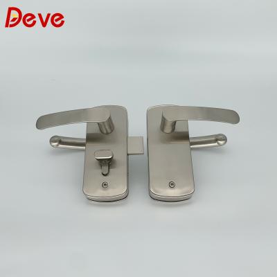 China Glass To Glass Door China Manufacture All Types Of Double Door Zinc Lock And Handle for sale