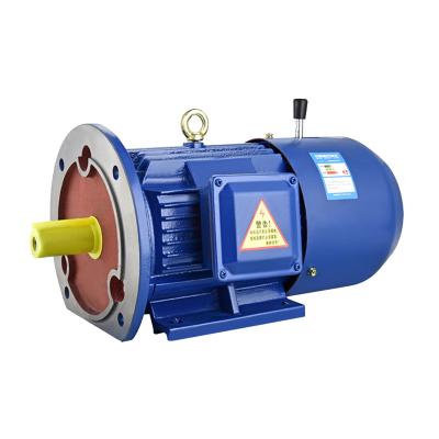 Chine 1.1kw 1.5kw 2kw 3kw 4kw 5kw 7.5kw 8kw 9kw 10kw 12kw 15kw 18.5 kw 20kw 30kw single three 3 phase ac induction electric motor à vendre