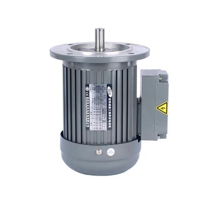 Chine 200W 300W 400W 550W 750W 900W 1100W 1500W single phase vertical type small ac gear electrical motor à vendre