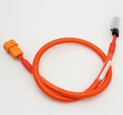 China New Energy Wire Harness Wiring Factory Supply DCF-SB301 High Pressure Auto Wire Harness for sale