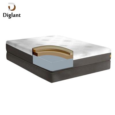 China Diglant F8-7 Modern High Density Sleep Bed Sponge Spring Foam Roll Up Mattress Manufacturer for sale