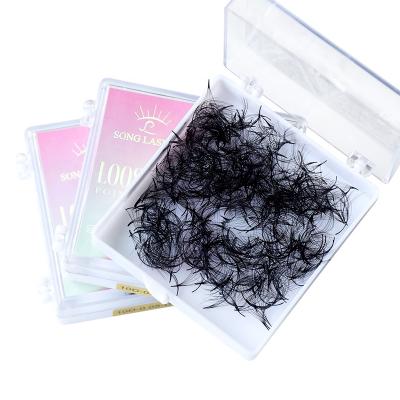 China Natural Soft Loose 10D Premade Volume Fans Eyelash Extension Supplies Handmade Loose Fans Eyelashes for sale