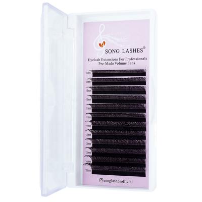 China High Quality Professional Eye Beauty Song Lash Premade 2D 