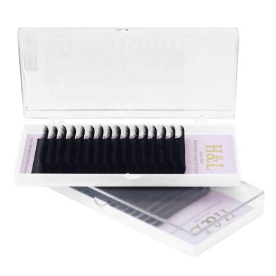 China Natural Super Soft PBT Korean Curl 0.05 0.07mm C cc D Customized Eyelash Extension Fast Easy Fan Blossom Flower Lashes for sale