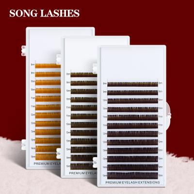 China Brown Lashes Individual Eyelash Extension Dark Brown Lashes Wholesale Silk Eyelash Extension Dark Brown Color H&L for sale