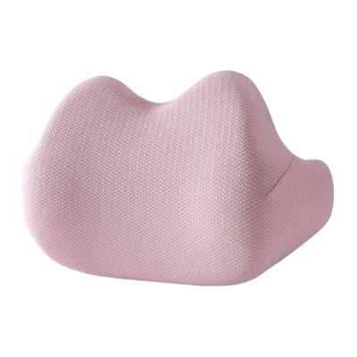 China New Design High Quality Anti-static Office Chair Back Pain Relief Memory Foam Lumbar Support Pillow Cushion for sale