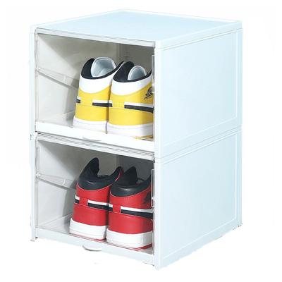 China 2022 Viable New Dust Proof Shoe Storage Shoe Organization In Modern Storage Shoe Rack Cabinet Storage for sale