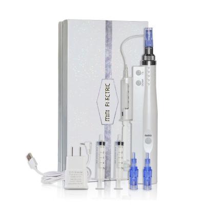 China Huishoudelijk gebruik 2 IN 1 Mini Nano water mesotherapie water injectie pistool Te koop