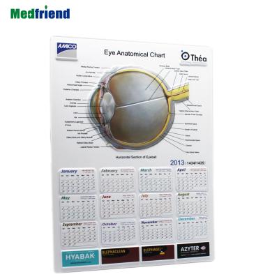 China PVC +KT 3D Desktop Anatomical Chart with Calendar - Subject: The Eye, many designs available for sale